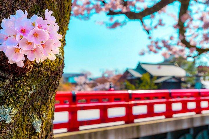 名古屋発白川郷・高山陣屋ユネスコ遺産ツアー