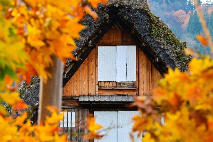 名古屋発白川郷・高山陣屋ユネスコ遺産ツアー