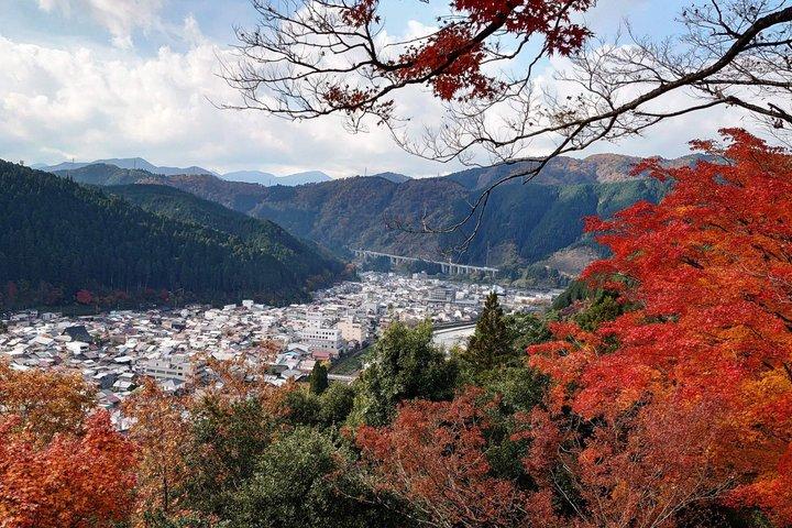 名古屋発白川郷・高山陣屋ユネスコ遺産ツアー