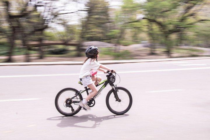 Central Park Highlights Guided Bike Tour Small Groups&local Guide
