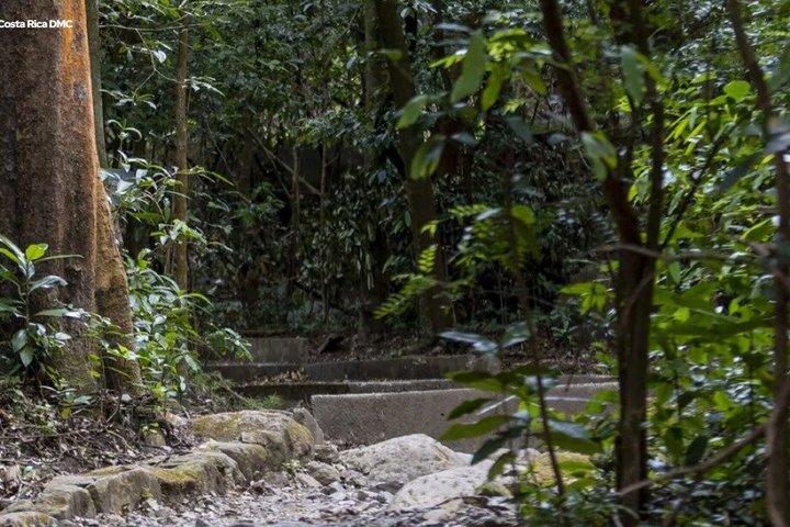 リンコン・デ・ラ・ビエハ火山、滝＆温泉体験