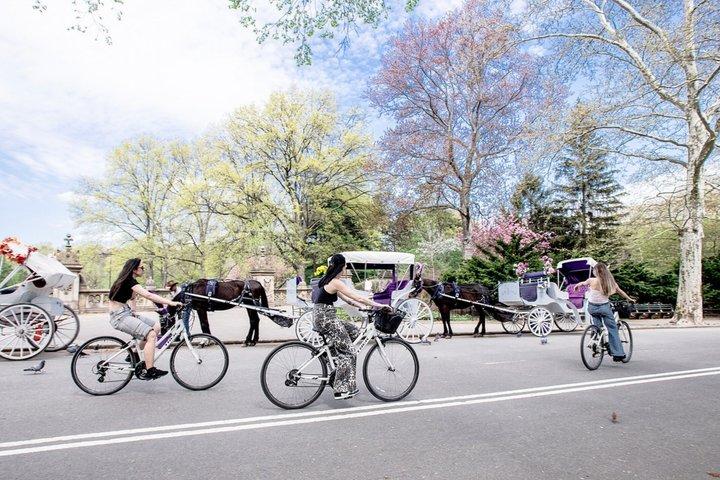Central Park Highlights Guided Bike Tour Small Groups&local Guide