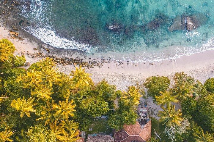 South Miami & Key Largo Private Flugtour