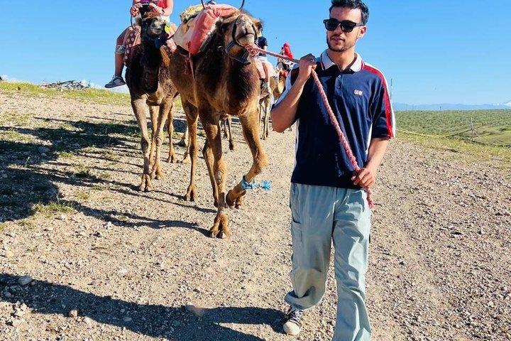 Marrakech: Agafay Desert Quad & Camel Rides com show de jantar