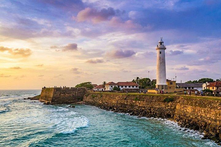 Travel Srilanka WITH Shanaka