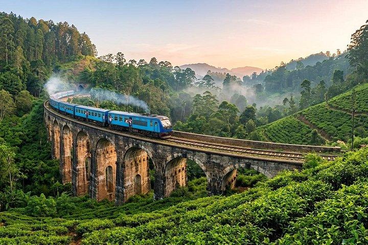 Travel Srilanka WITH Shanaka