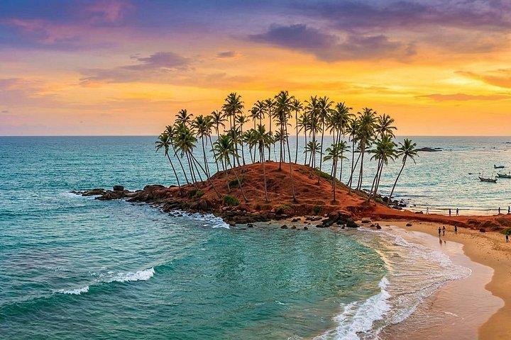 Travel Srilanka WITH Shanaka