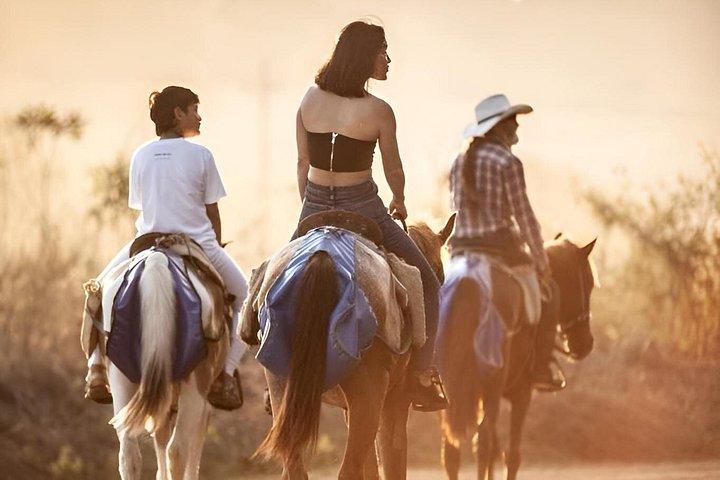 Jaco Ridning Adventure Tours