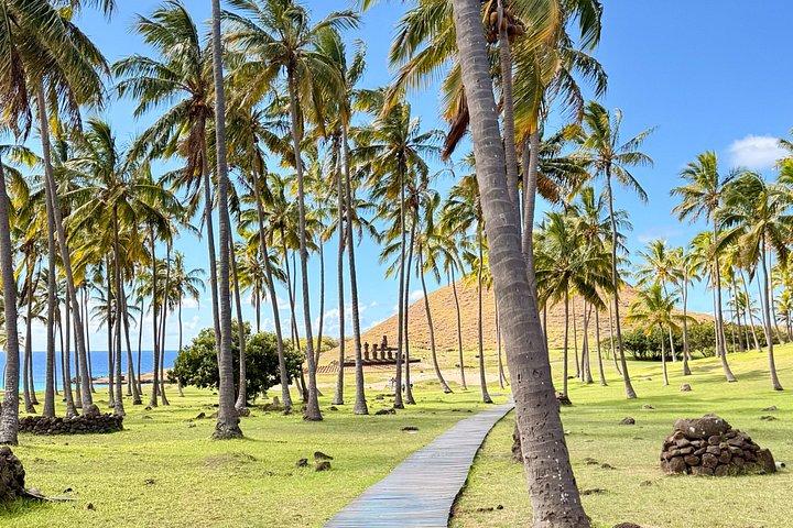 Rapa Nui-tur for krydstogtpassagerer