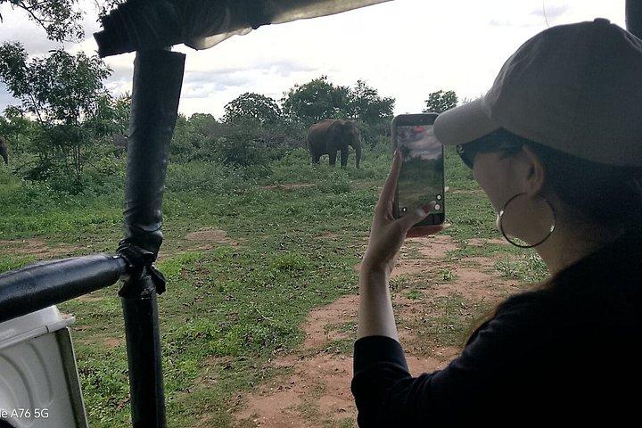 Travel Srilanka WITH Shanaka