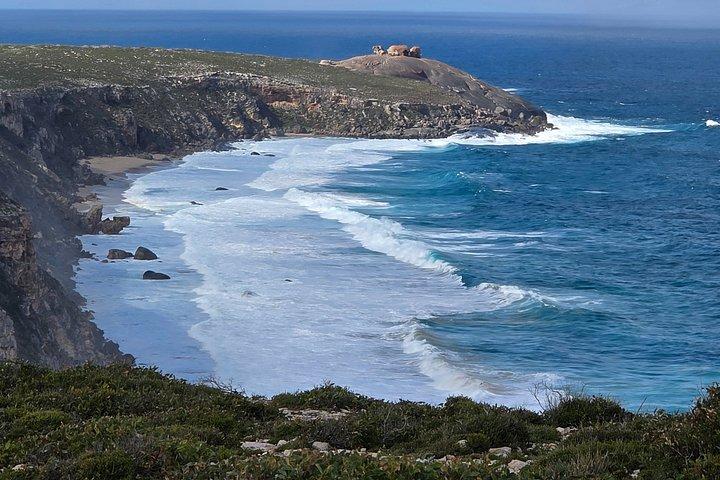 Kangaroo Island 3 Day Small Group Premium Tour from Adelaide