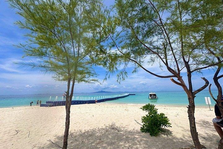クラビ発ピピ島＆バンブー島1日カタマランツアー