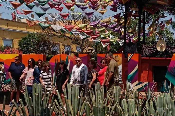 Visite privée d'une journée à Guadalajara