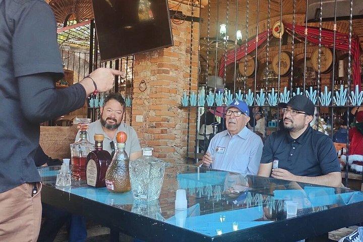 Visite privée d'une journée à Guadalajara