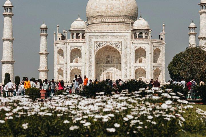 スキップ・ザ・ラインタージ・マハル、アーグラ城塞＆メフタブ庭園ツアー