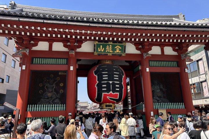 Private Tour of Tokyo History Culture and Architecture