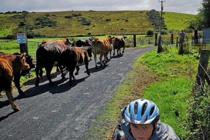 E-Bike Cycle Greenway - Westport naar Achill Island Atlantische kust