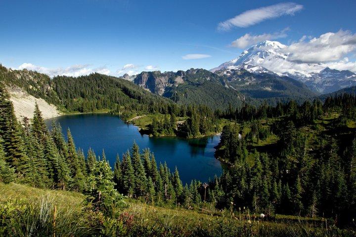 De Seattle: Monte St. Helens e Monte Rainier Tour Privado