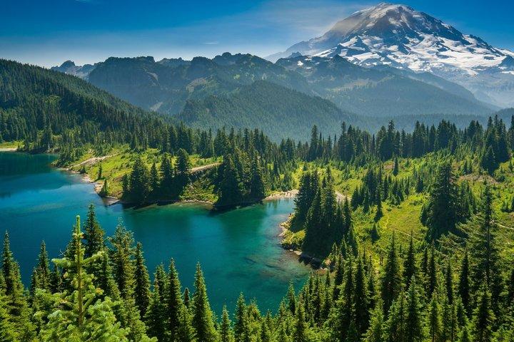 De Seattle: Monte St. Helens e Monte Rainier Tour Privado