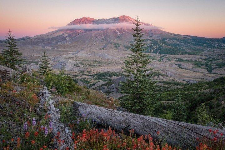 From Seattle: Mount St. Helens and Mount Rainier Shared Tour