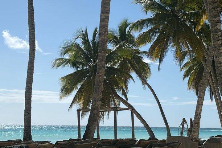 サオナ島カタマランでのランチとプンタカナからの送迎