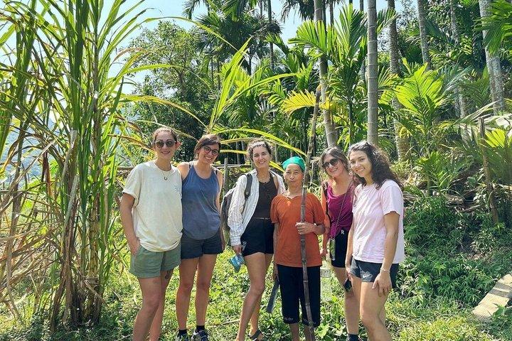 Från Hanoi/Ninh Binh : Pu Luong Trekking Authentic Village dagstur