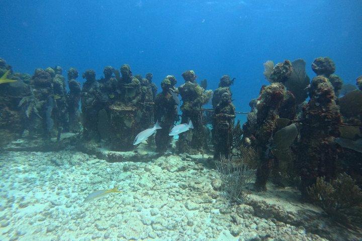 Isla Mujeres: Snorkeling em 3 pontos: MUSA, Manchones e Farito!