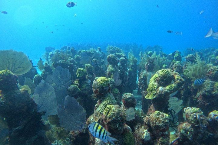 Isla Mujeres: Snorkeling em 3 pontos: MUSA, Manchones e Farito!