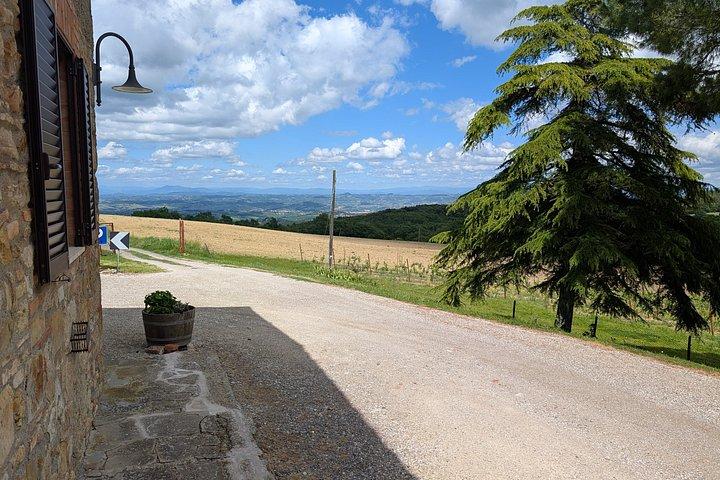 San Gimignano : Pasta Cooking Class with Wine & Panoramic Lunch