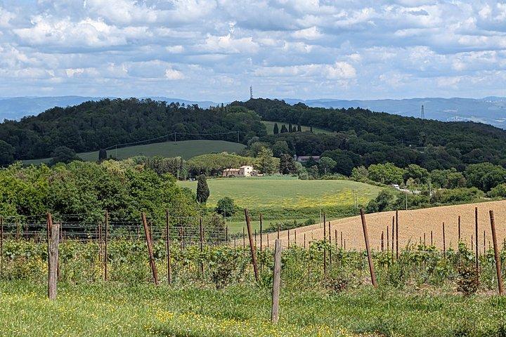 San Gimignano : Pasta Cooking Class with Wine & Panoramic Lunch