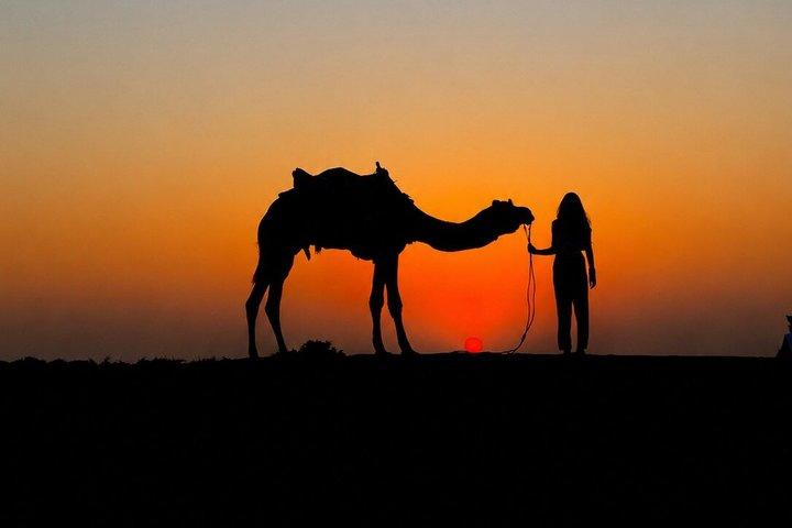 Private Sunset Camel Ride i Agafay med middag og ildshow