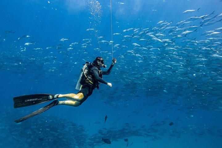 Cabo San Lucas Certified Scuba Diving: 2 Dives with Private Guide