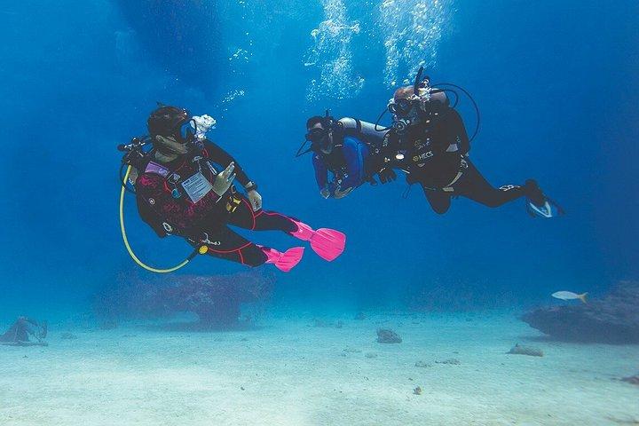 Cabo San Lucas Certified Scuba Diving: 2 Dives with Private Guide