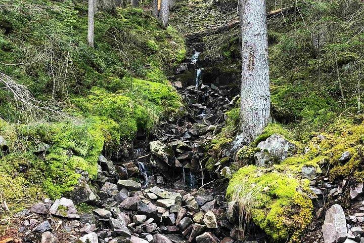 Viking Tales, Trails & Tastes