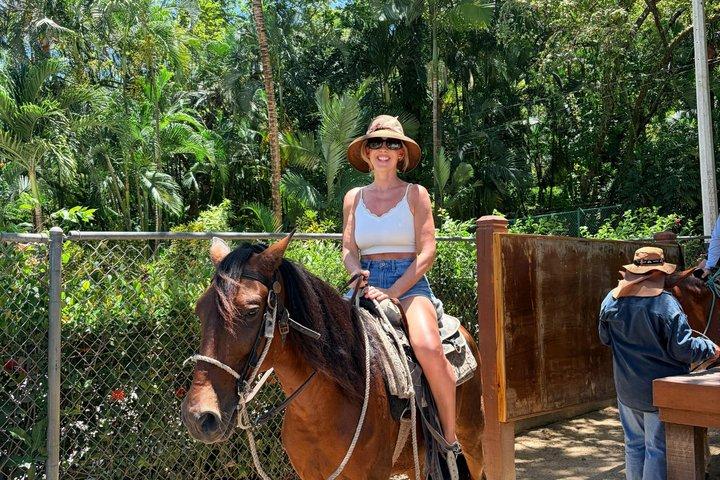 Reitabenteuer, Affen, Faultiere und Inseltour