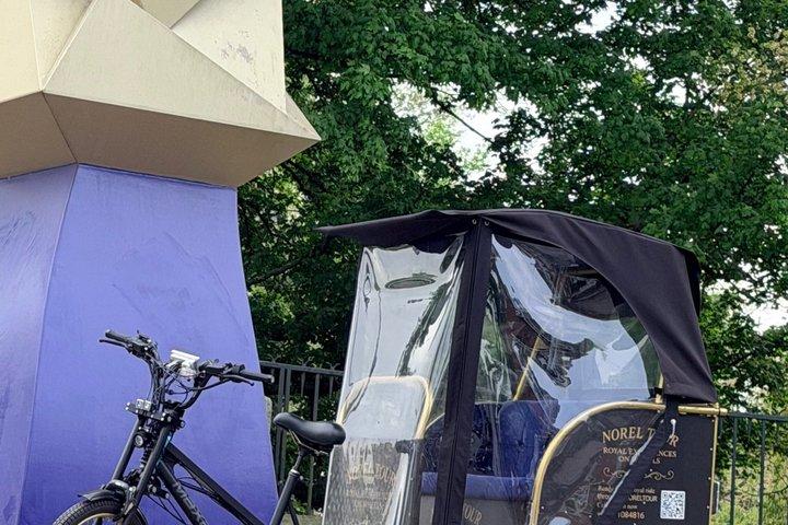 Tour della città blu di Royal Delft