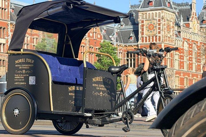 Tour della città blu di Royal Delft