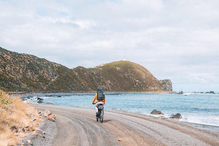 ペンカロー灯台と湖-ウェリントンで4時間のeバイクレンタル