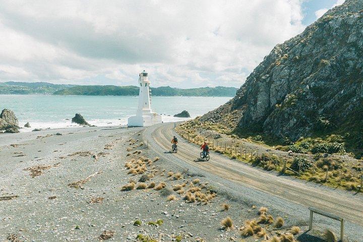 ペンカロー灯台と湖-ウェリントンで4時間のeバイクレンタル