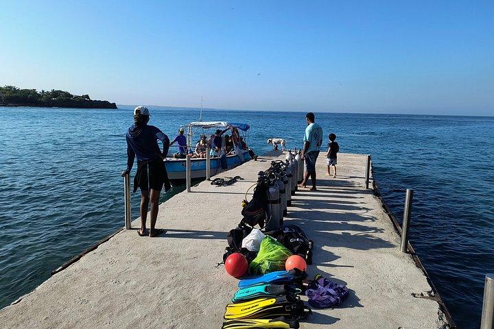 Descubre el buceo con Paraiso Dive
