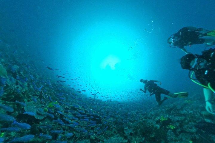 Descubre el buceo con Paraiso Dive