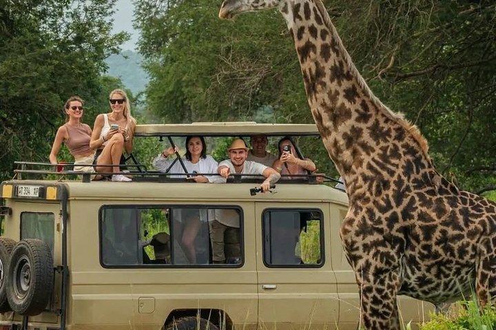 5 dias Uganda Safari Gorilla, Chimpanzee Trekking e Big Five