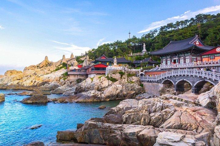 Autentisk Busan-dagstur til byens højdepunkter