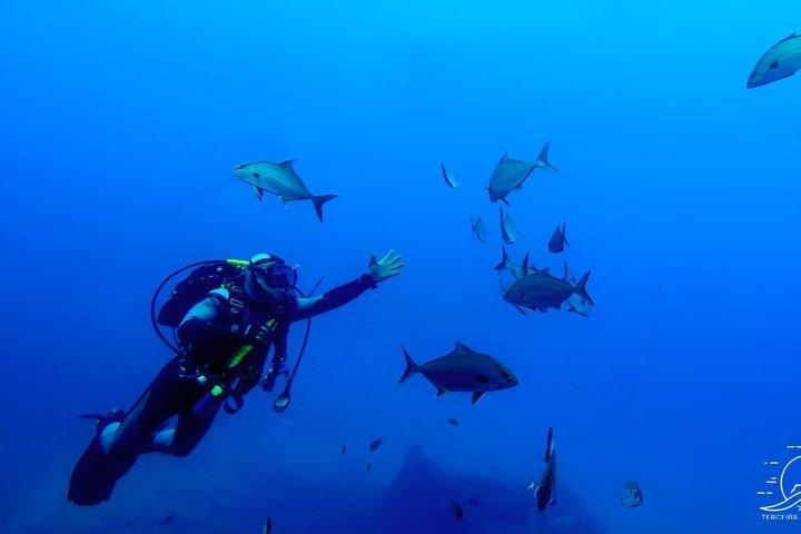 Diving on Terceira Azores Island