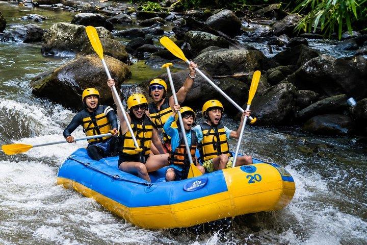 バリ島：ウブドゴリラATVアドベンチャーとホワイトウォーターラフティングツアー