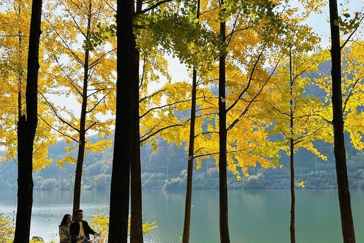 朝凪の庭、南怡島への簡単なプライベート ツアー