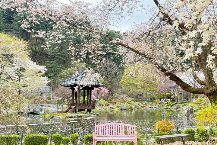 朝凪の庭、南怡島への簡単なプライベート ツアー
