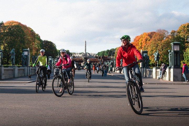 オスロの自転車でのプライベートハイライト