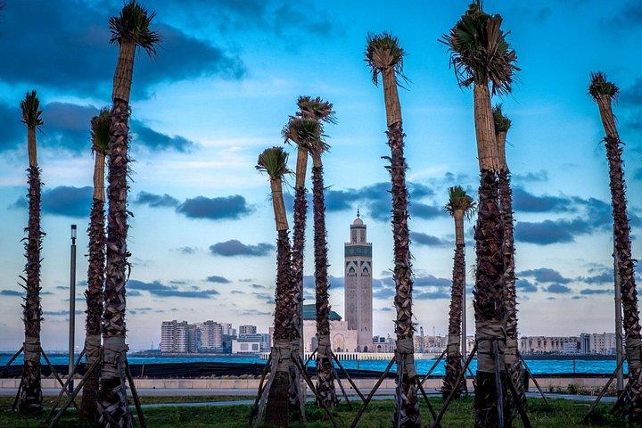 Casablanca Private City Tour with polyglot Licensed Guide