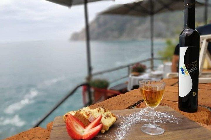 Seaview Wine Tasting Cinque Terre Wine Schools